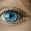 藻類の光感受性タンパク質が、視力を失われた患者の視機能を回復する希望！