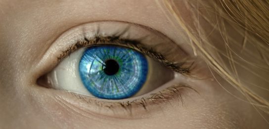 藻類の光感受性タンパク質が、視力を失われた患者の視機能を回復する希望！