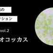 藻ガール尾張の藻類コレクション vol.2「ボツリオコッカス」