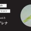 藻ガール尾張の藻類コレクション vol.5「ユーグレナ」