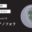 藻ガール尾張の藻類コレクション vol.13「シアノフォラ」