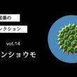 藻ガール尾張の藻類コレクション vol.14「クンショウモ」